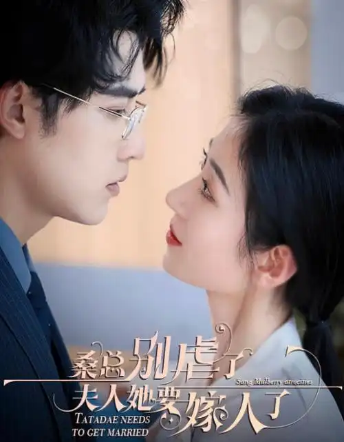 热播电视剧全集 长夜将明 在线观看